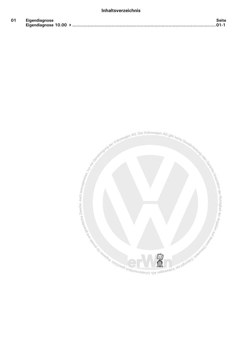 Bora (1999 - 2006) Bora-Bora Variant Reparaturanleitung Elektrische Anlage Eigendiagnose