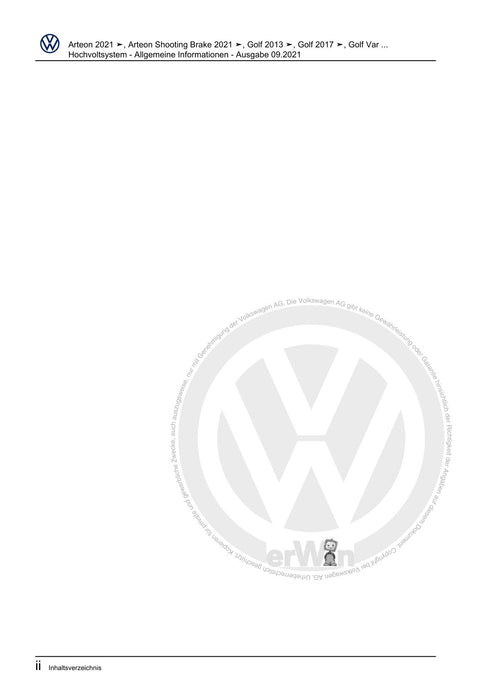Passat (2019+) Reparaturanleitung Hochvoltsystem - Allgemeine Informationen