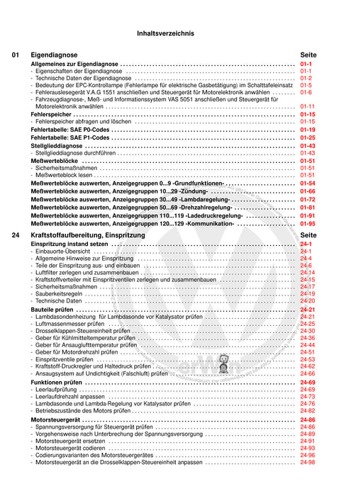 Golf IV (1998 - 2006) Golf-Golf Variant-Bora-Bora Variant Reparaturanleitung Motronic Einspritz- und Zuendanlage (4-Zyl.) AQA