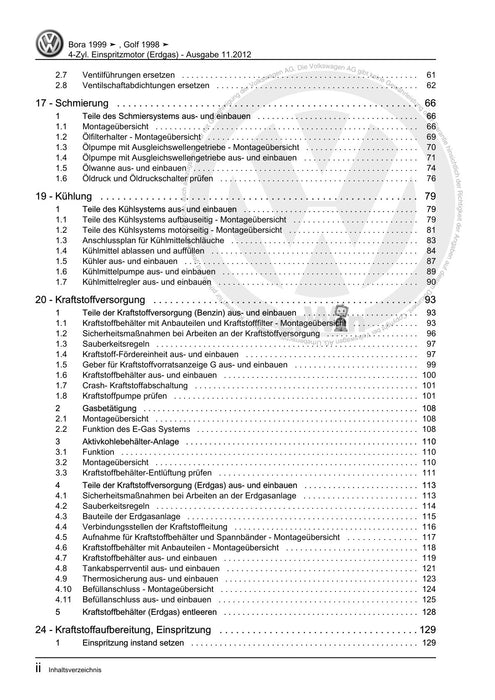 Golf IV (1998 - 2006) Golf-Golf Variant-Bora-Bora Variant Reparaturanleitung 4-Zyl. Einspritzmotor (Erdgas)