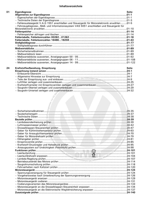 Bora (1999 - 2006) Bora-Bora Variant Reparaturanleitung Motronic Einspritz- und Zündanlage (4 Zylinder Motor) AGN,AGU