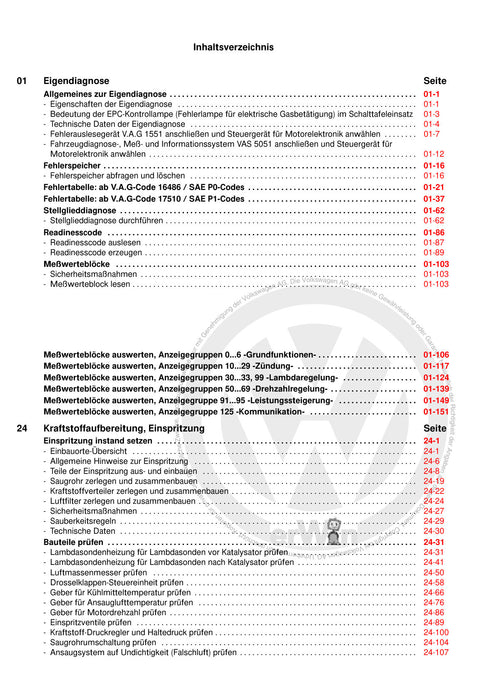 Golf IV (1998 - 2006) Golf-Golf Variant-Bora-Bora Variant Reparaturanleitung Motronic Einspritz- und Zündanlage AQP