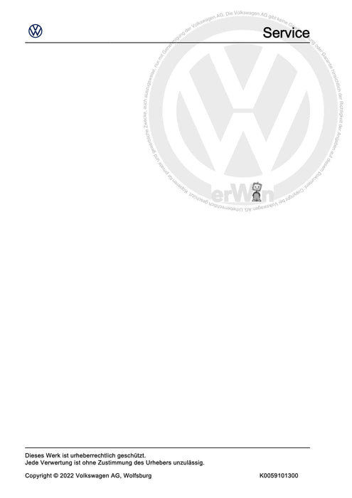 Passat (2005 - 2008) Passat-Passat Variant Reparaturanleitung Elektrische Anlage Allgemeine Informationen